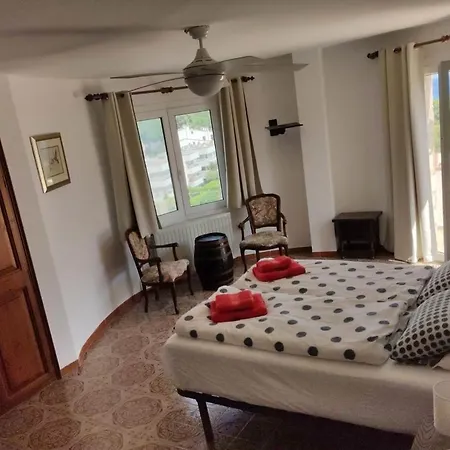 Casa Mojo